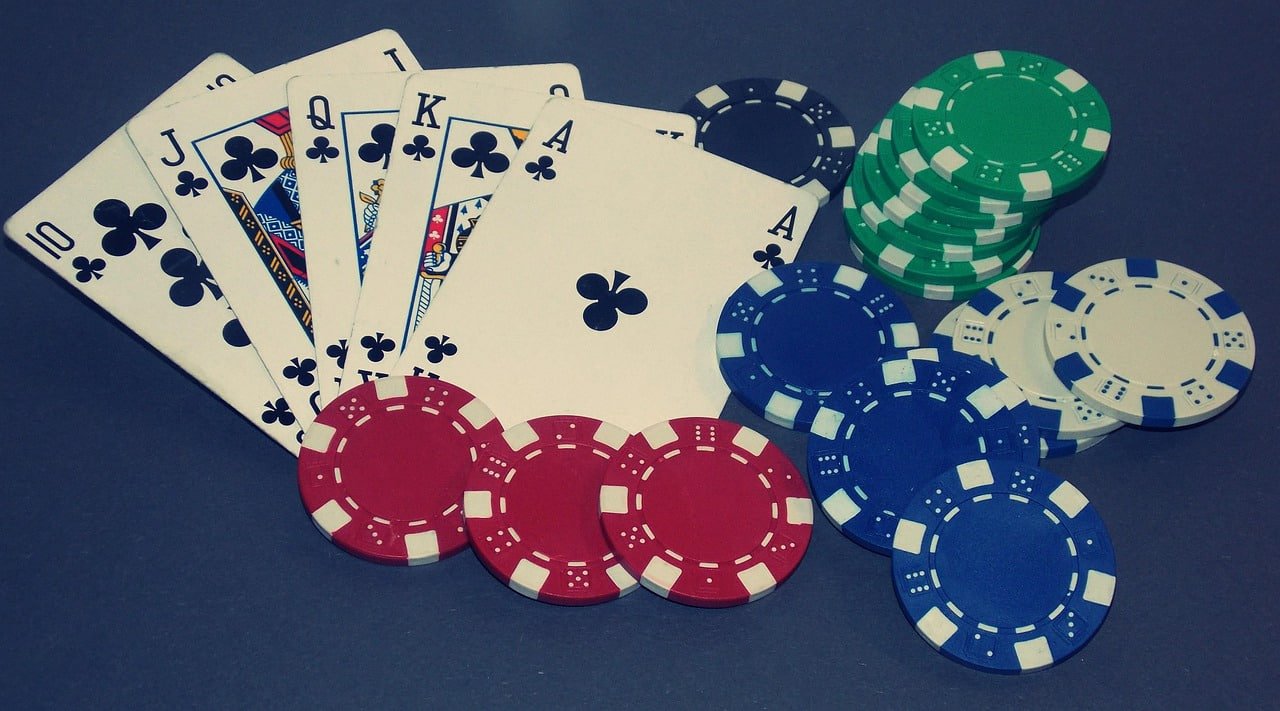 Dasbor multi-olahraga dengan panduan pasar